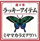 ミヤマカラスアゲハ
